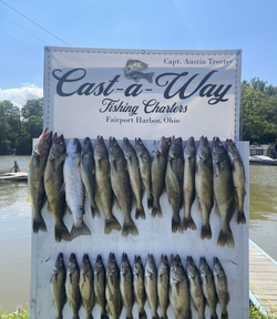 Lake Erie's Walleye Fishing Fun